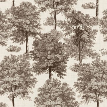 Chestnut tree Clay Muestra