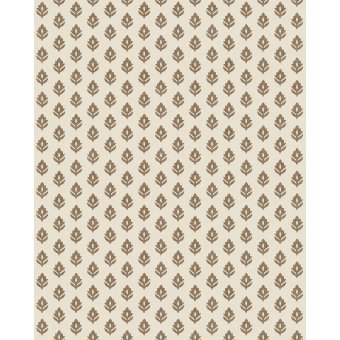 Clover Cacao  Muestra