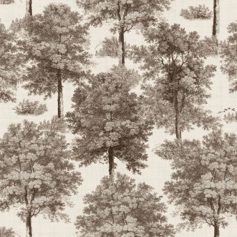 Chestnut tree Clay Muestra