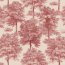 Chestnut tree Red Muestra