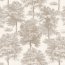 Chestnut tree Ecru Muestra