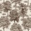Chestnut tree Clay Muestra